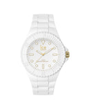 ICE IC019152