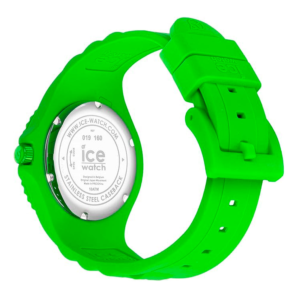 ICE IC019160