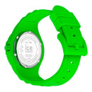 ICE IC019160