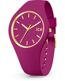 ICE IC020541