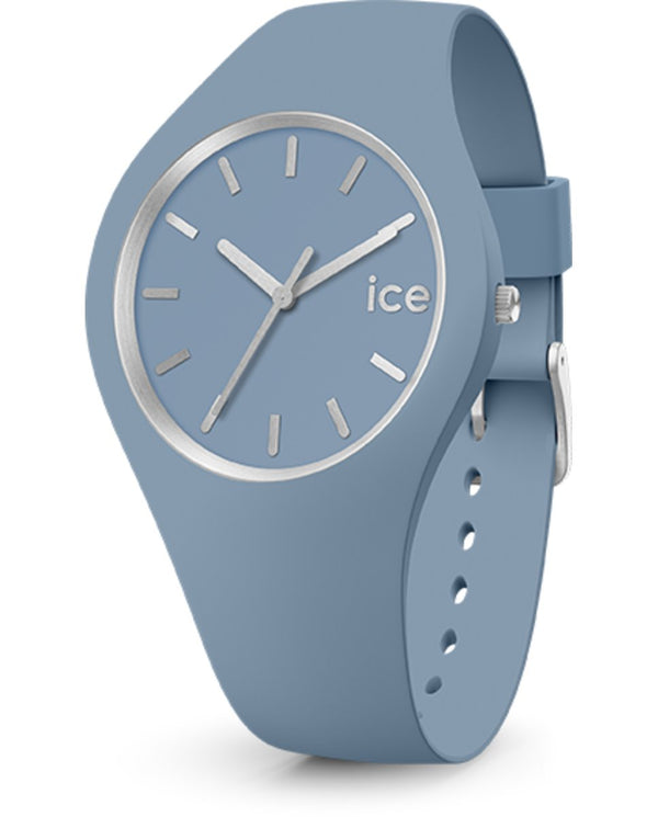 ICE IC020543