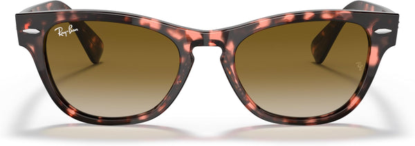 RAY BAN RB2201-133451
