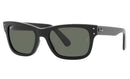 RAY BAN RB22839015852