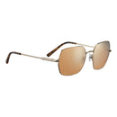 SERENGETI SS548003