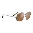 SERENGETI SS548004