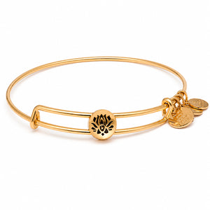 ALEX AND ANI SSEWB10G