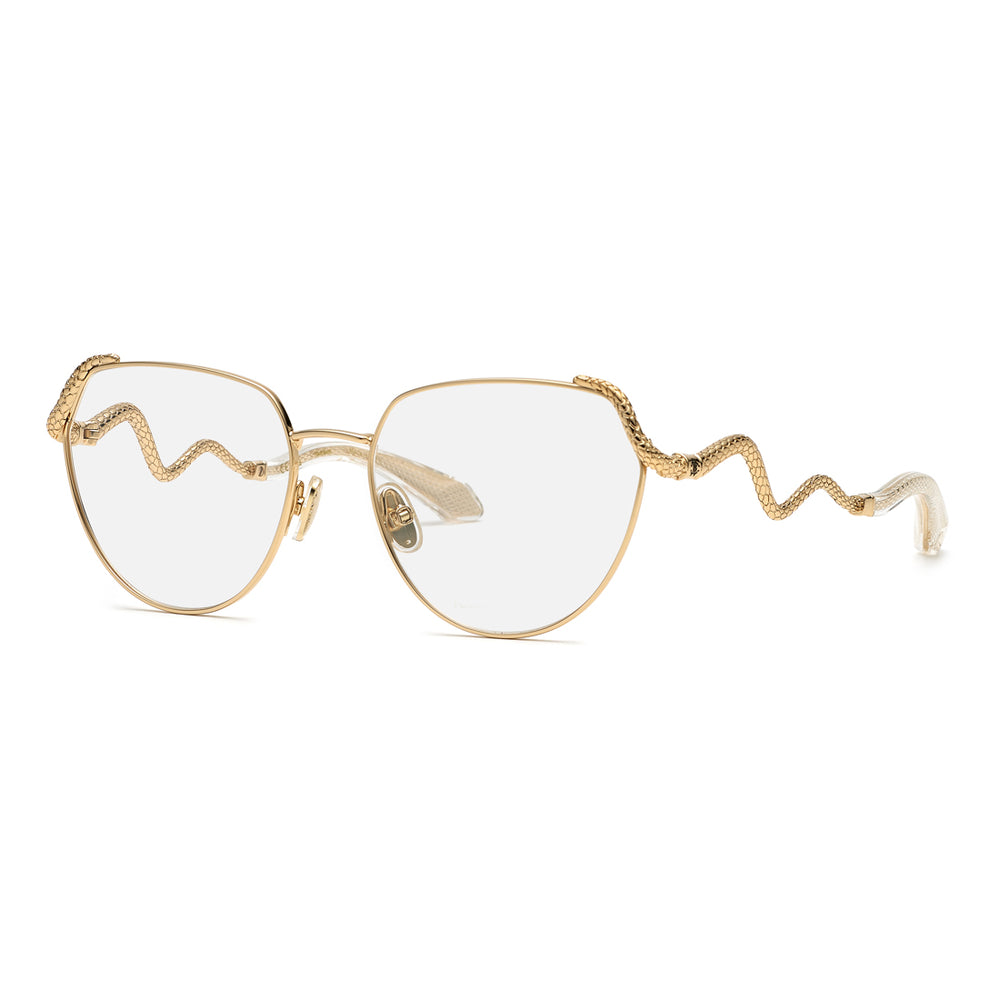 ROBERTO CAVALLI VRC053M550300