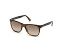 WEB EYEWEAR WE0279-5652G