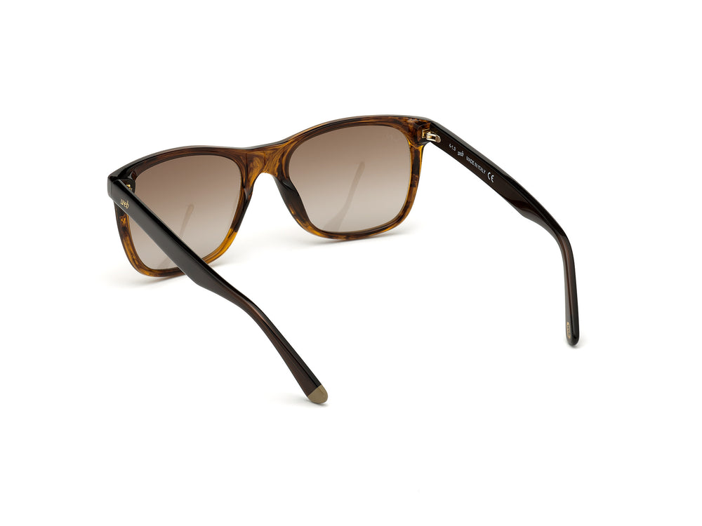 WEB EYEWEAR WE0279-5652G
