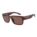 ARNETTE AN4326U290573