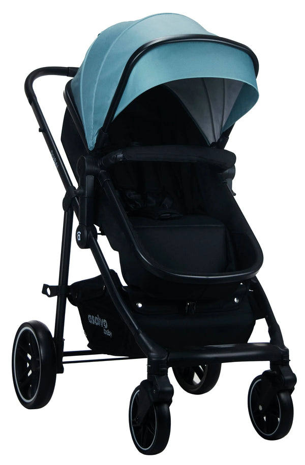 Asalvo Convertible Dubai, Oliven