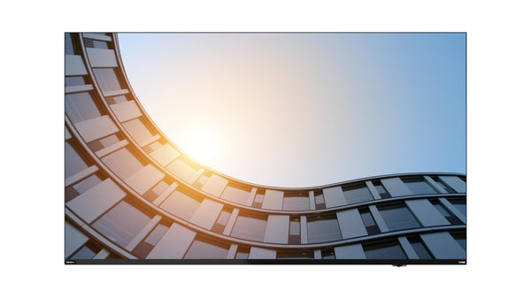 Lenovo ThinkVision E65 LFD computerskærm 163,8 cm (64.5) 3840 x 2160 pixel 4K Ultra HD LCD Sort