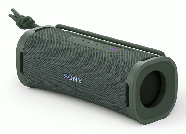 Sony ULT FIELD 1 Højttaler Grå