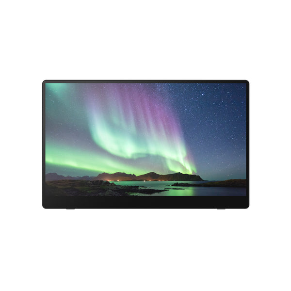 Ricoh 150BW 15.6 1920 x 1080 (Full HD) USB-C 60Hz