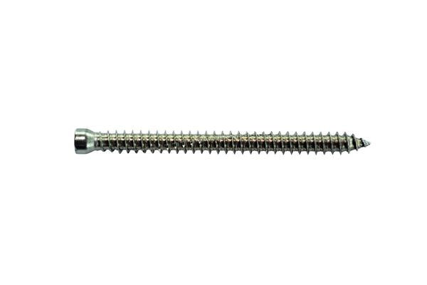 Karmskrue 7,5 mm cylindrisk hoved rustfri 72 mm - Expandet