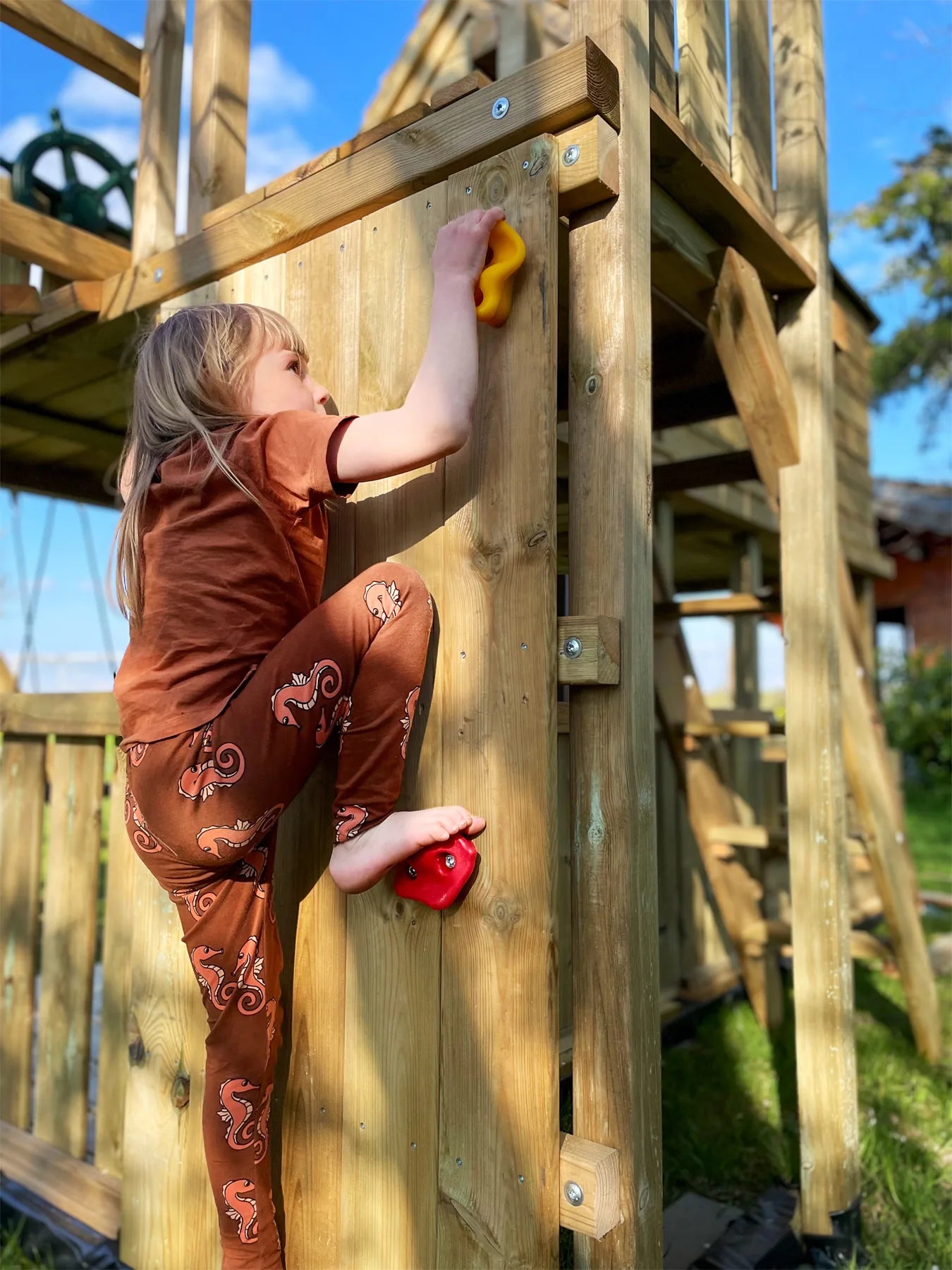 Klatresten (5 Stk.) – Sky Stormer – small foot