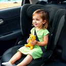 Asalvo Car Seat Omniguard – Grey