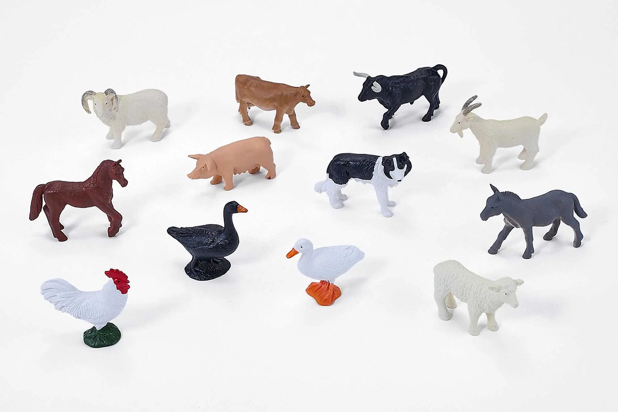 Dyr (12Stk) Ass – Land liv – Mojo