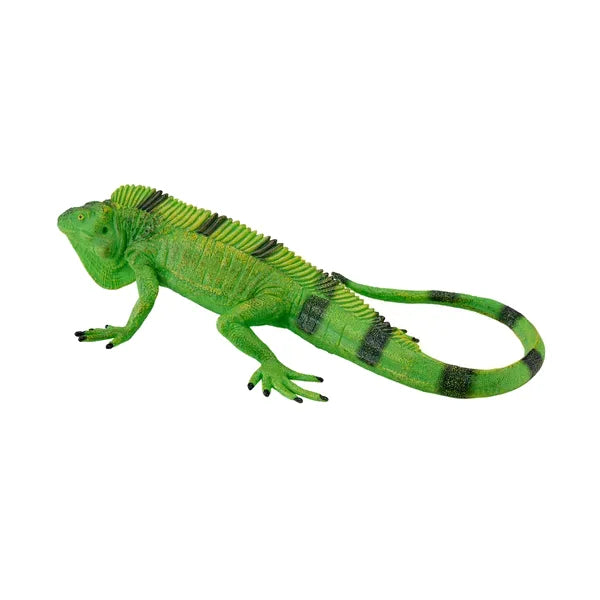 Leguan dyr figur 14,6 cm håndmalet pædagogisk læring legetøj plast, fri for ftalater – Mojo