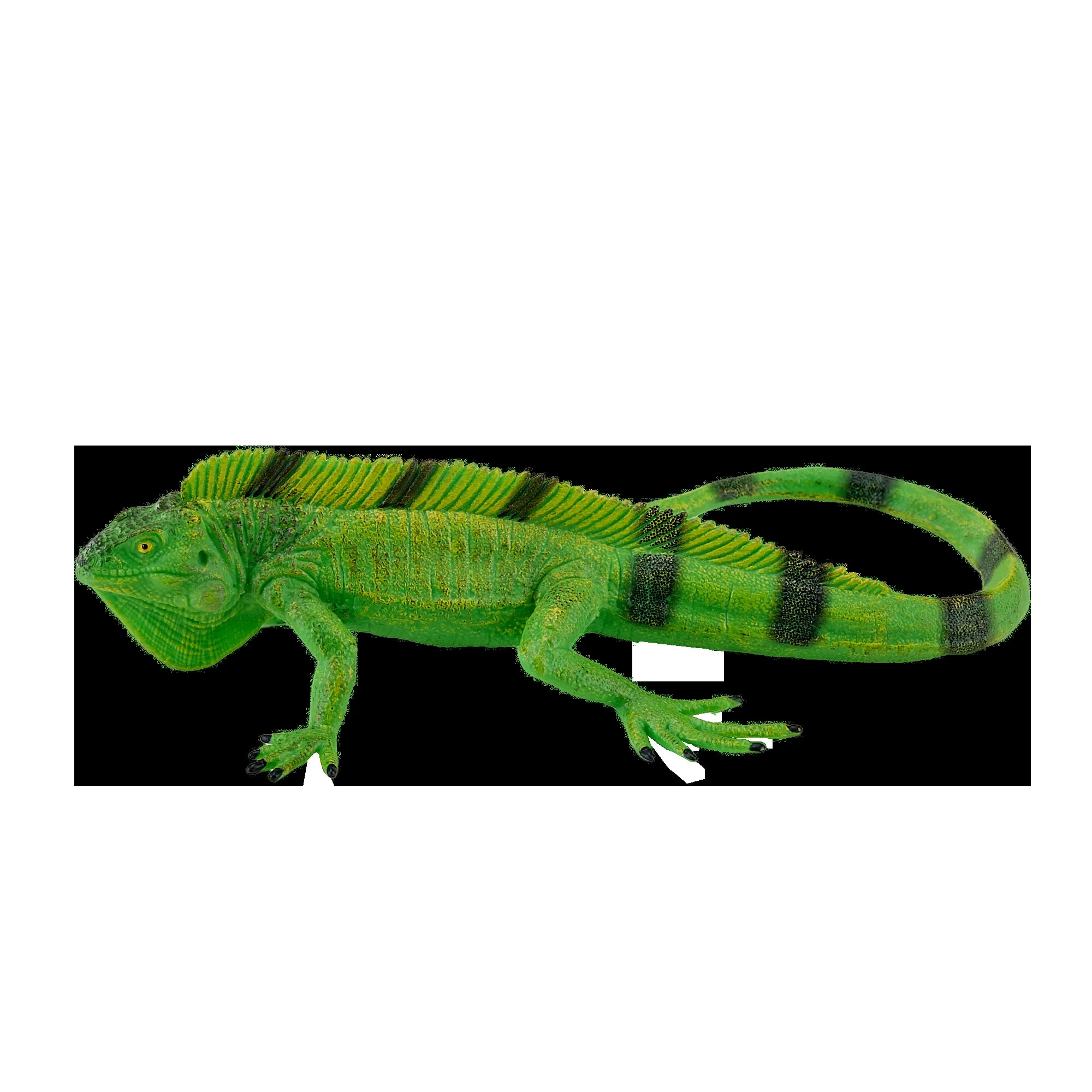 Mojo Leguan