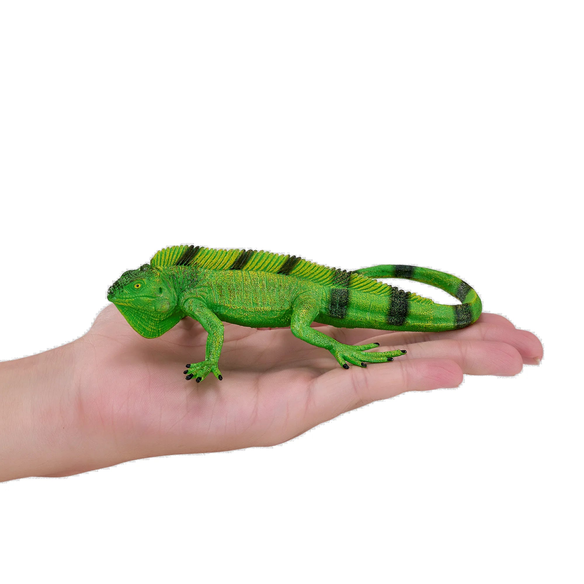 Mojo Leguan