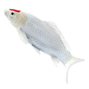 Koi karpe figur – Rødplet, håndmalet plastik model, 12,6 cm – Mojo