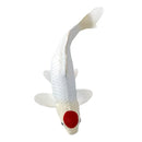 Koi karpe figur – Rødplet, håndmalet plastik model, 12,6 cm – Mojo