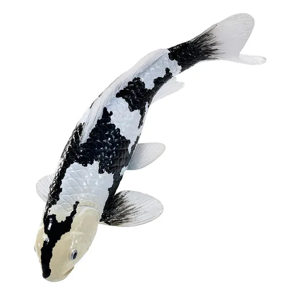 Koi karpe sort/hvid figur 12,6 cm – håndmalet plastikmodel til undervisning og samling – Mojo