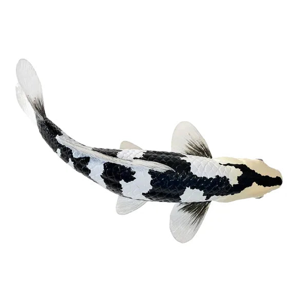 Koi karpe sort/hvid figur 12,6 cm – håndmalet plastikmodel til undervisning og samling – Mojo