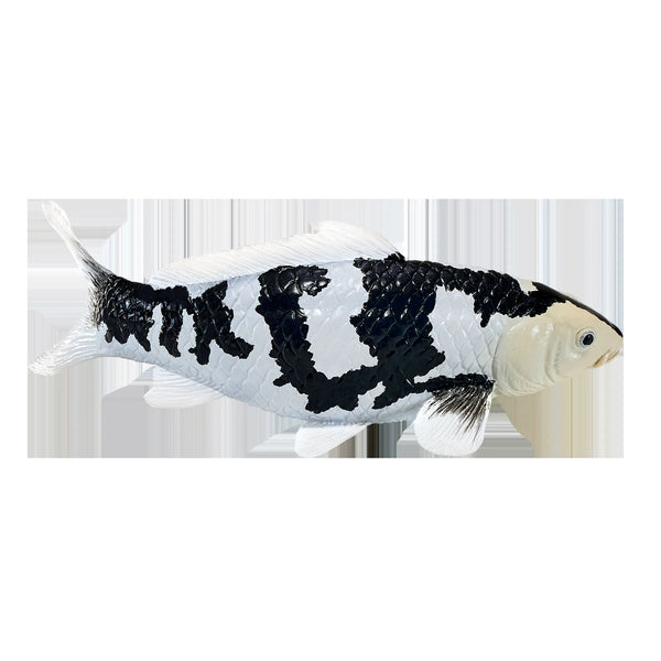 Mojo Koi karpe, Sort/hvid