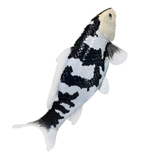 Koi karpe sort/hvid figur 12,6 cm – håndmalet plastikmodel til undervisning og samling – Mojo