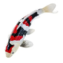 Koi karpe figur – trefarvet håndmalet legetøjsdyr, 12,6 cm – Mojo