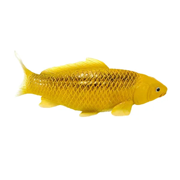Koi karpe figur, guldtone, plast 12,6 cm – pædagogisk samlerobjekt, MOJO