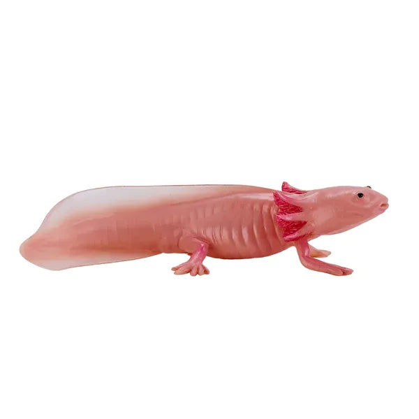 Axolotl halepadde pædagogisk dyrefigur i kunststof, 9,5x6,5 cm – Mojo