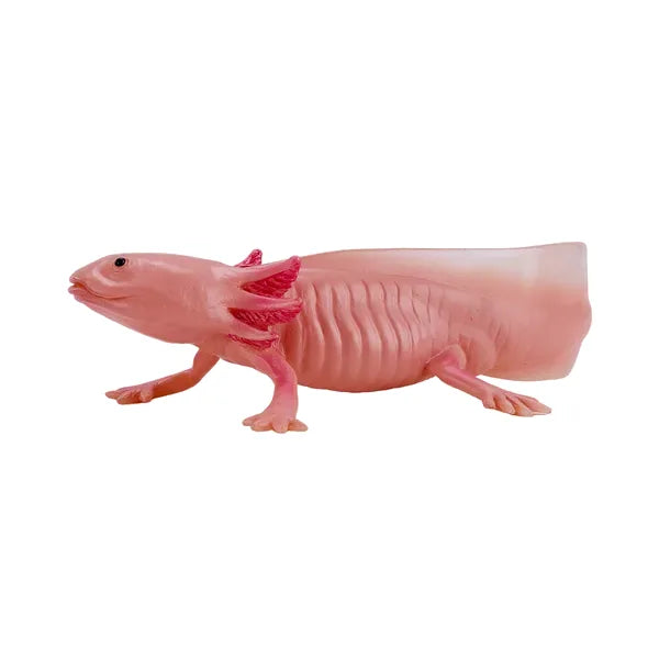 Axolotl halepadde pædagogisk dyrefigur i kunststof, 9,5x6,5 cm – Mojo