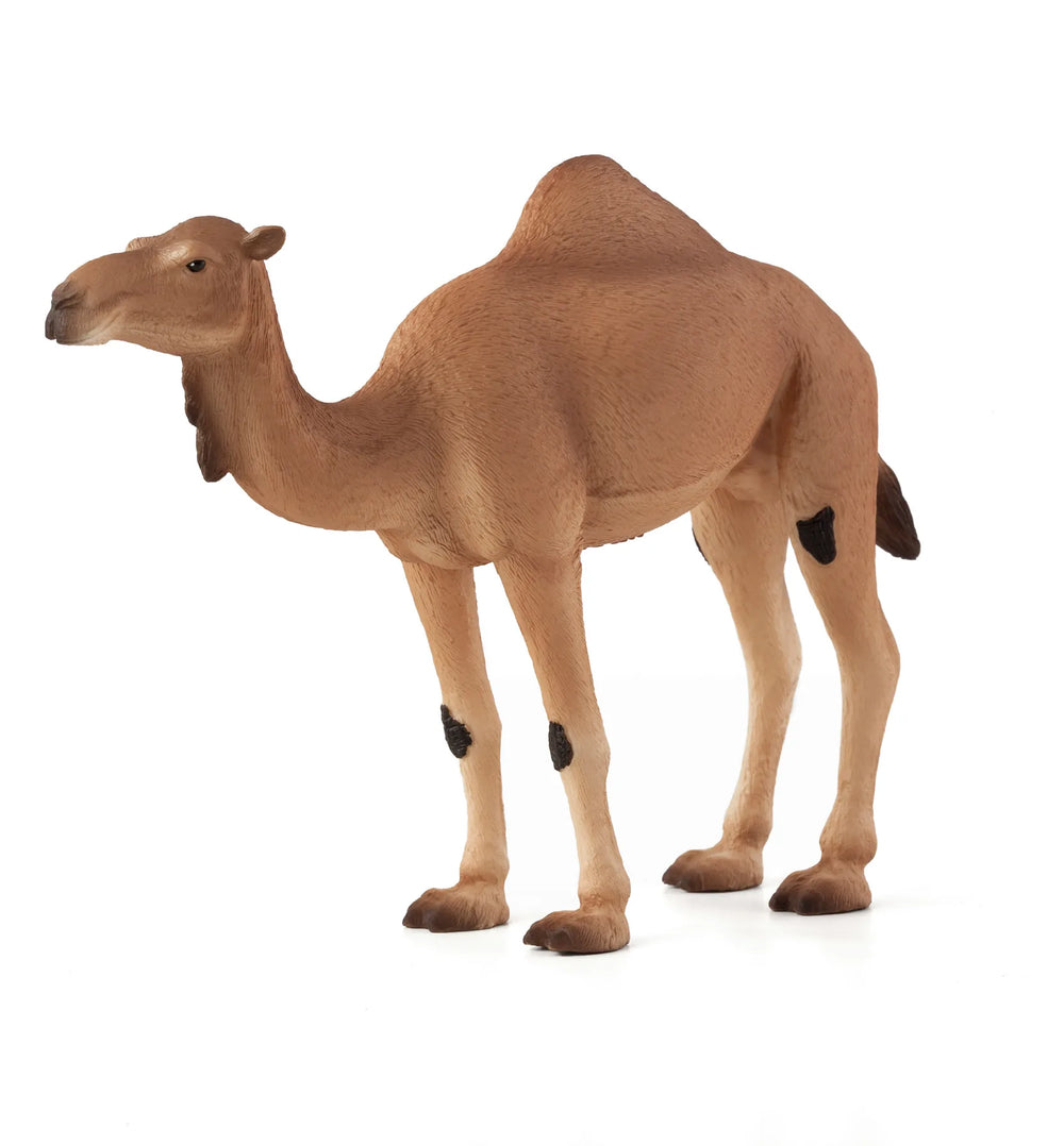 Arabisk kamel legetøjsfigur 14 cm – finmotorik & rolleleg, Mojo