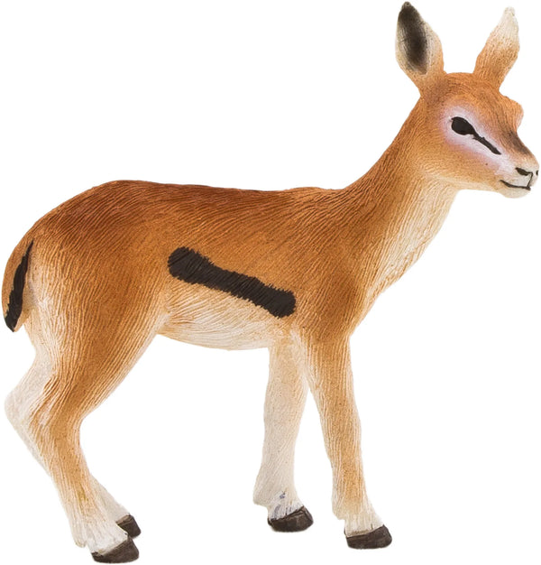 Mojo Thomson's Gazelle Kalv