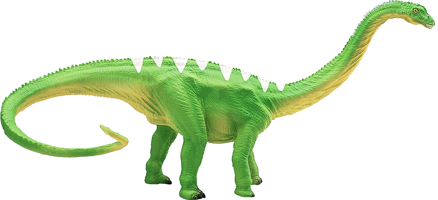Diplodocus legetøjsfigur 27x8x13 cm – anatomisk model til børn fra 3 år, phthalatfri – Mojo