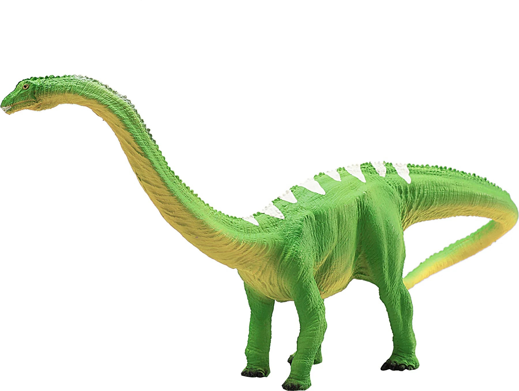 Diplodocus legetøjsfigur 27x8x13 cm – anatomisk model til børn fra 3 år, phthalatfri – Mojo