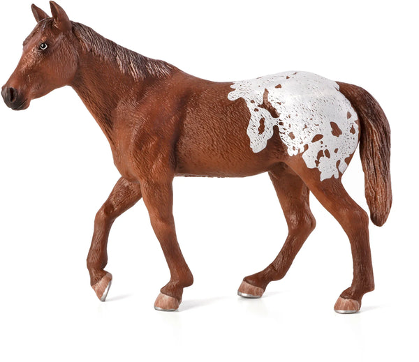 Mojo Appaloosa Hingst, Kastanje
