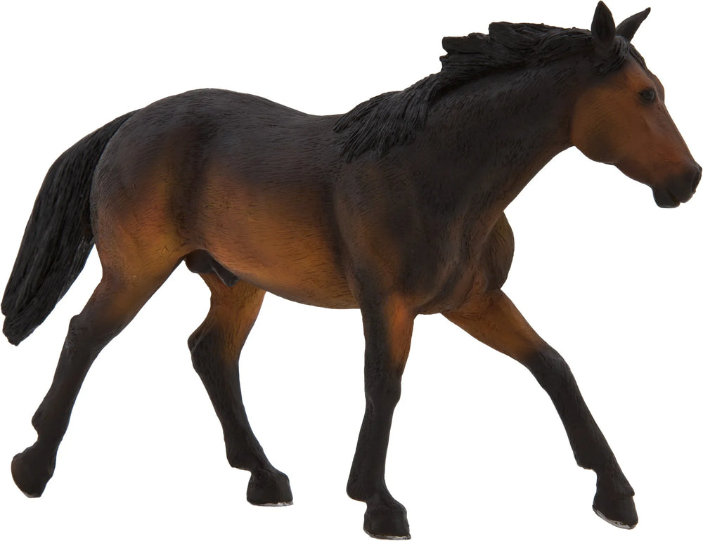 Buckskin Hest – Sooty Bay – Mojo