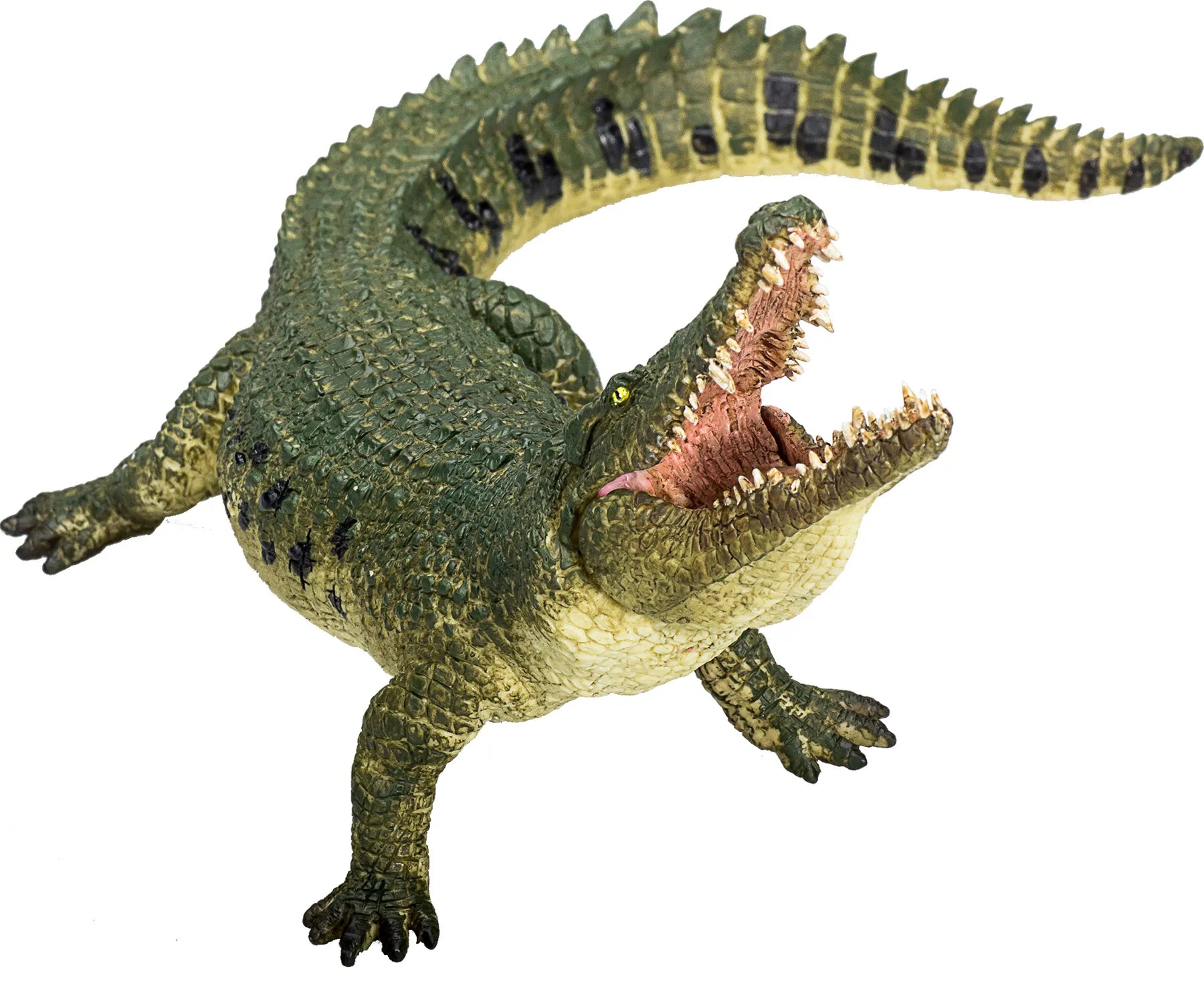 Mojo Krokodille