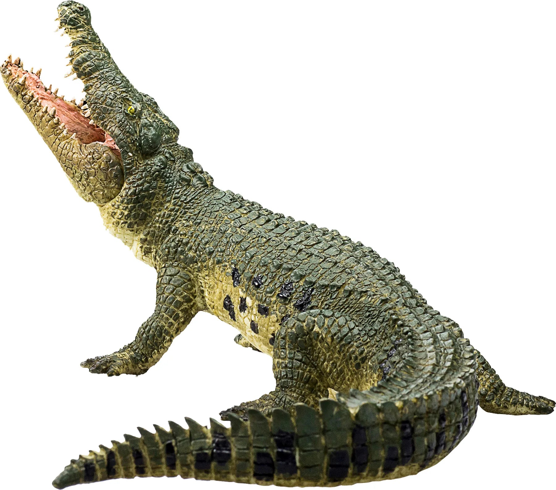 Mojo Krokodille