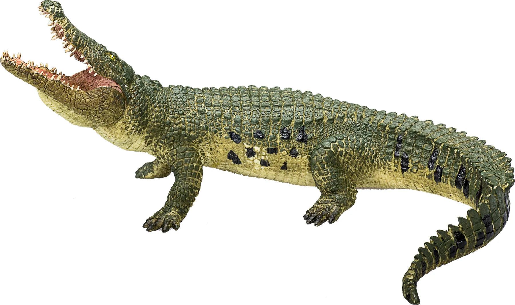 Mojo Krokodille