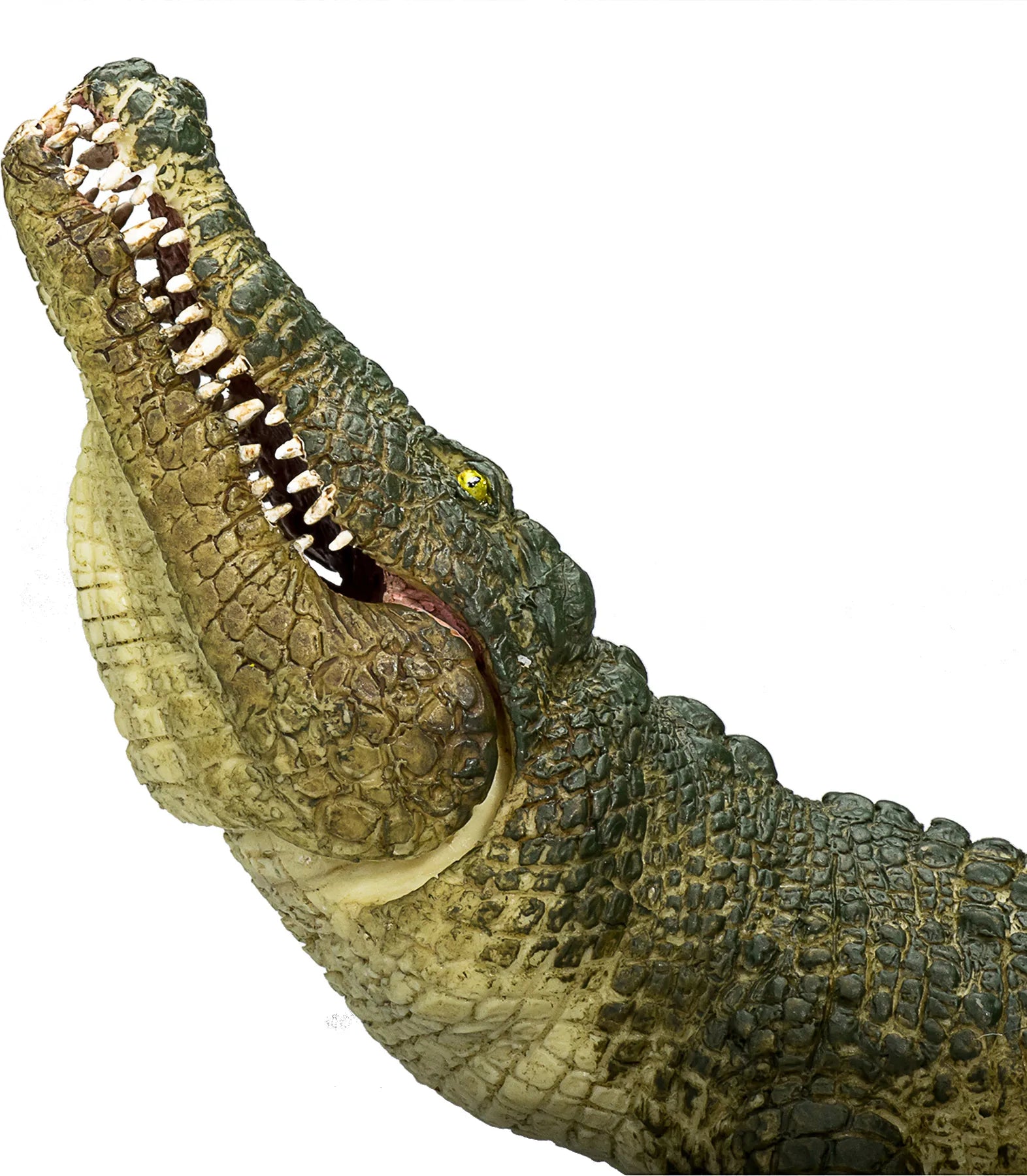 Mojo Krokodille