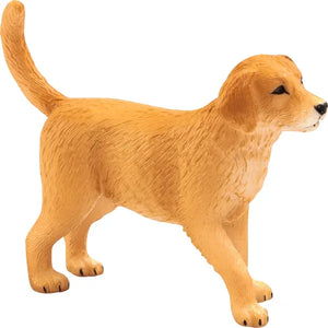 Golden Retriever Hundehvalp – Mojo