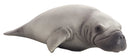 Manatee bitlegetøj til baby og børn – blød, phthalatfri 14,5 cm | Mojo