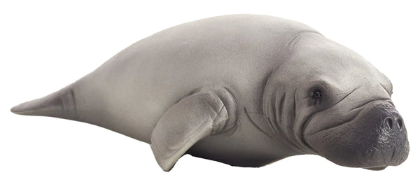 Mojo Manatee