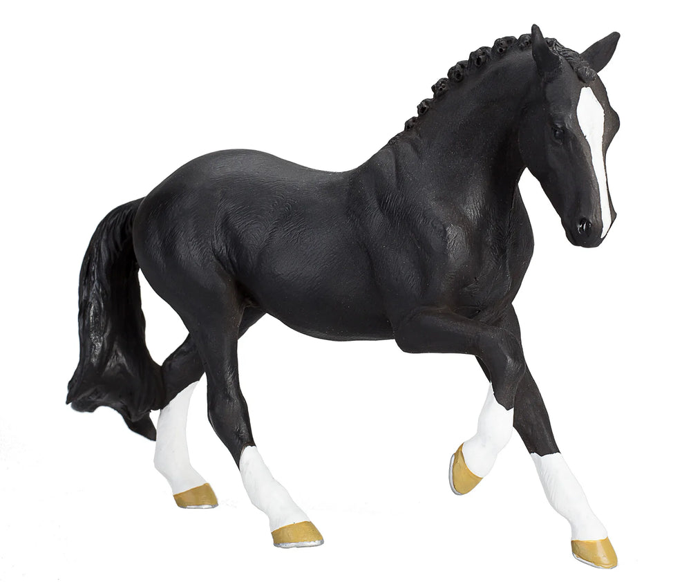 Hanoverian Black Portugal – Mojo