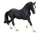 Hanoverian Black Portugal – Mojo